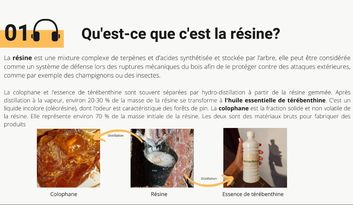 1. La résin image