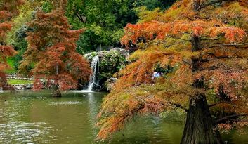El origen de El Retiro image