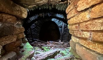 Eco-Reto 11: Quiz image