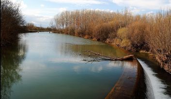 Morales de Rey. Intro image