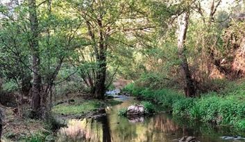 Alcañices.  Alrededores image