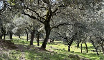 Eco-Reto 4: Quiz image