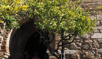 5. The Door of Christ image