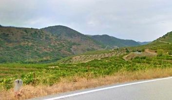 Freixo. Road image
