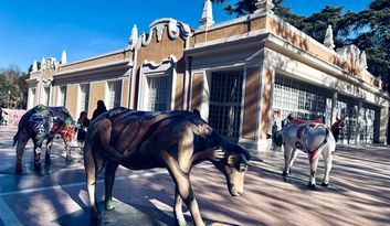 Casa de Vacas image