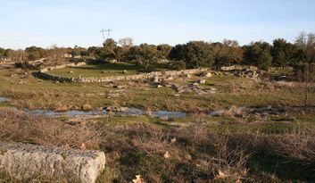 Comarca de Sayago image