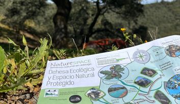 Participar en nuestros Eco-Retos image