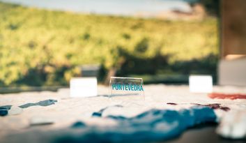 SECCIÓN 3. EL VINO EN GALICIA. image