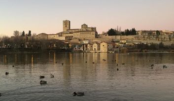 Zamora.Intro image