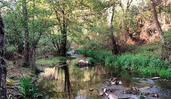 Alcañices. Outskirts image