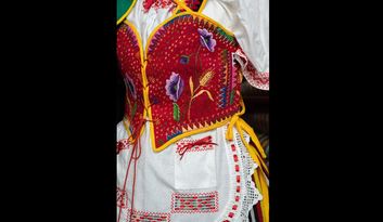 Le costume typique image