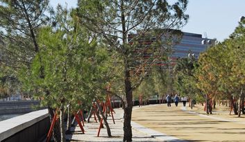 16. Salón de Pinos image