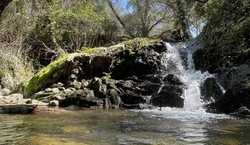 Eco-Reto 8: Quiz image