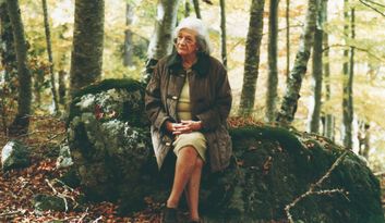 Literary universe image