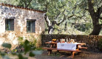 Eco-Challenge 11: Quiz image