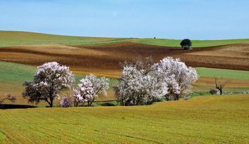 Sanzoles.Intro image