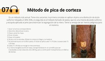 7. Método de pica de corteza image