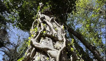 Nuestra finca image