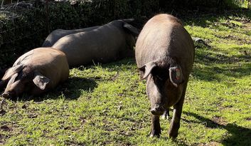 Eco-Challenge 2: Did you know...? image