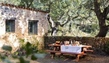 Eco-Challenge 11: Did you know...? image