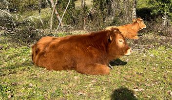 Eco-Reto 6: ¿Sabías que...? image