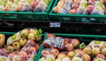 Carbellino. Services image