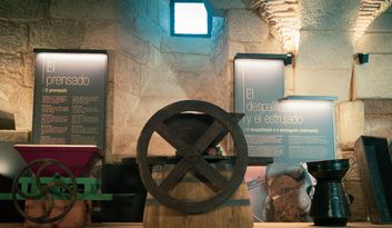 SECTION DOUZE : VINIFICATION.  image