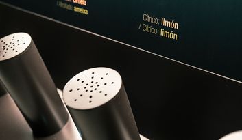 SECTION SEVENTEEN: TASTING AND PAIRING. image