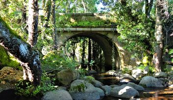 15. Martinete bridge image