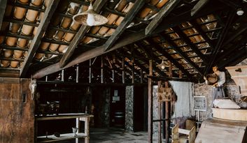 Situación actual del gofio y los molinos  image