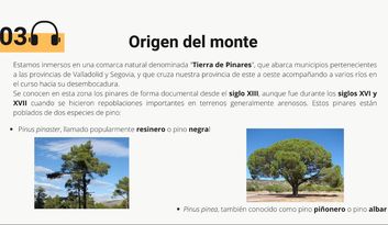 3. Ordenación del monte image