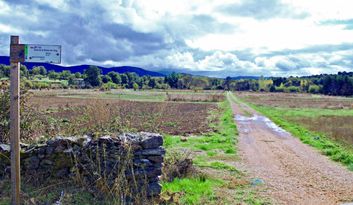 Agallas.Naturaleza image