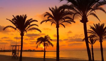 Despedida: Llucmajor, más que un destino  image