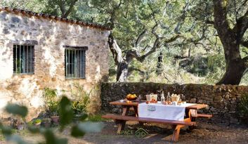 Eco-Reto 7: Quiz image