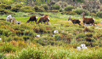 Rutas y Senderos image