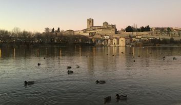 Zamora. Intro image