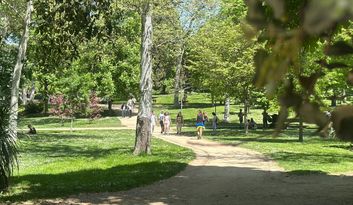 24. The Campo Grande and the Rich Botanical Path 4 image