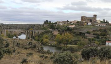 Ledesma image