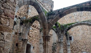 11. Cuerpo oriental image