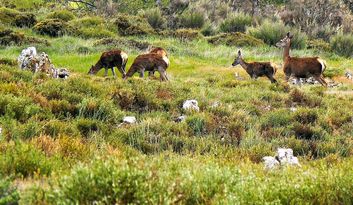 Rotas e Trilhos image