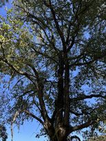 Eco-Challenge 3: Quiz image