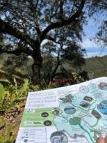 Participating in our Eco-Challenges image