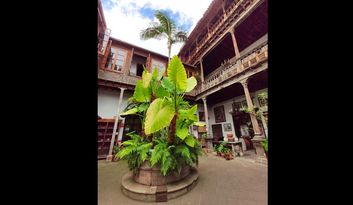 The house inner patio image