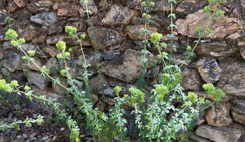 Eco-Challenge 10: Did you know? image