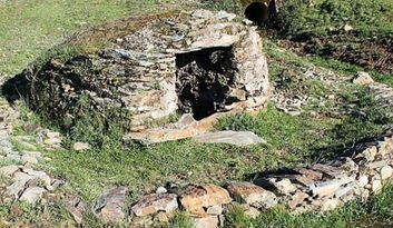 Agallas.Historia image