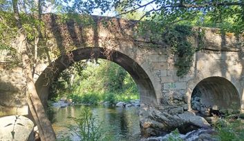 14. New bridge image