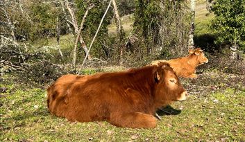 Eco-Challenge 6: Did you know...? image