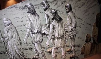 Morales del Rey. Aula arqueológica image