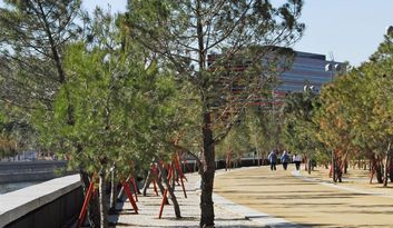 16. Hall of Pines image