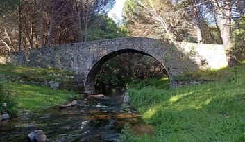 12. Mosquea brigde image